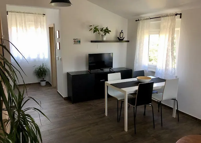 Fine & Shine بولا