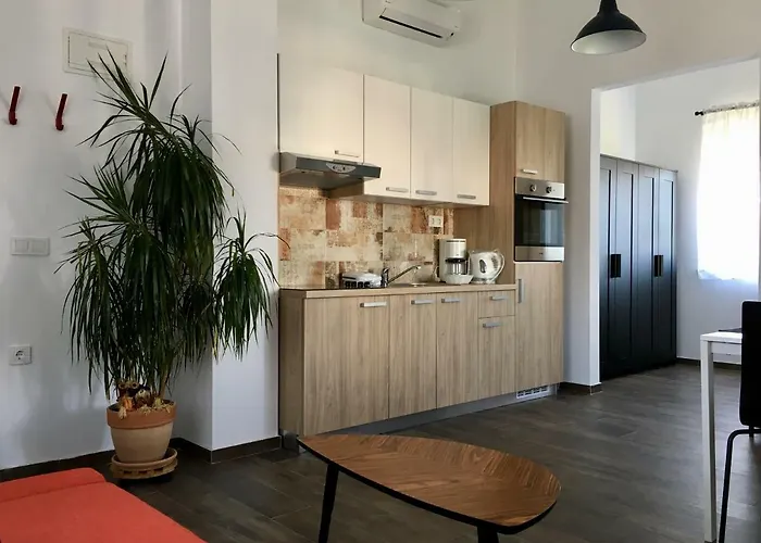 Fine & Shine بولا